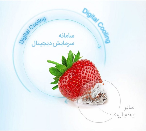 یخچال ساید بای ساید دوو مدل d2s-1033mw